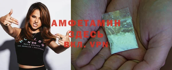 амф Дмитров