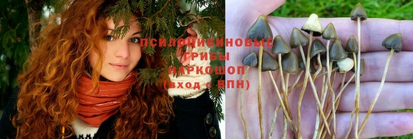 соль курить ск Каменногорск